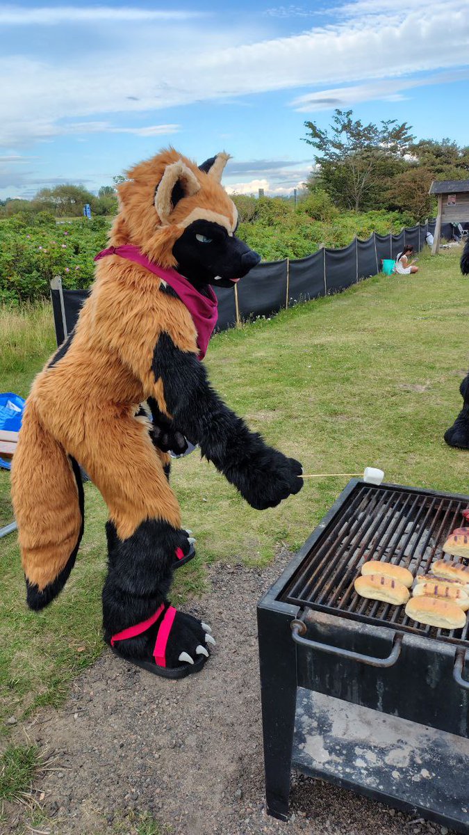 Go outside, touch grass, summer is here! 
Happy #FursuitFriday 
📸: <a href="/ZwiffyTrash/">Zwiffy➡️NFC26</a>