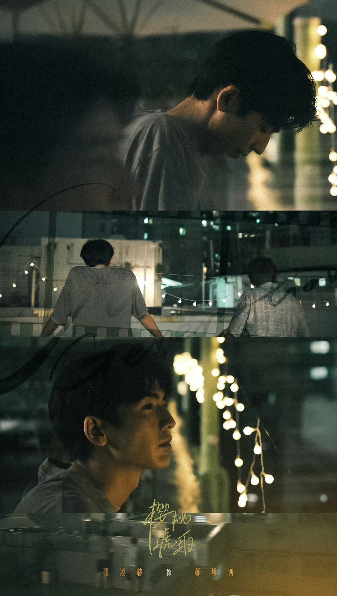 张凌赫的小核桃𖹭 on X: 