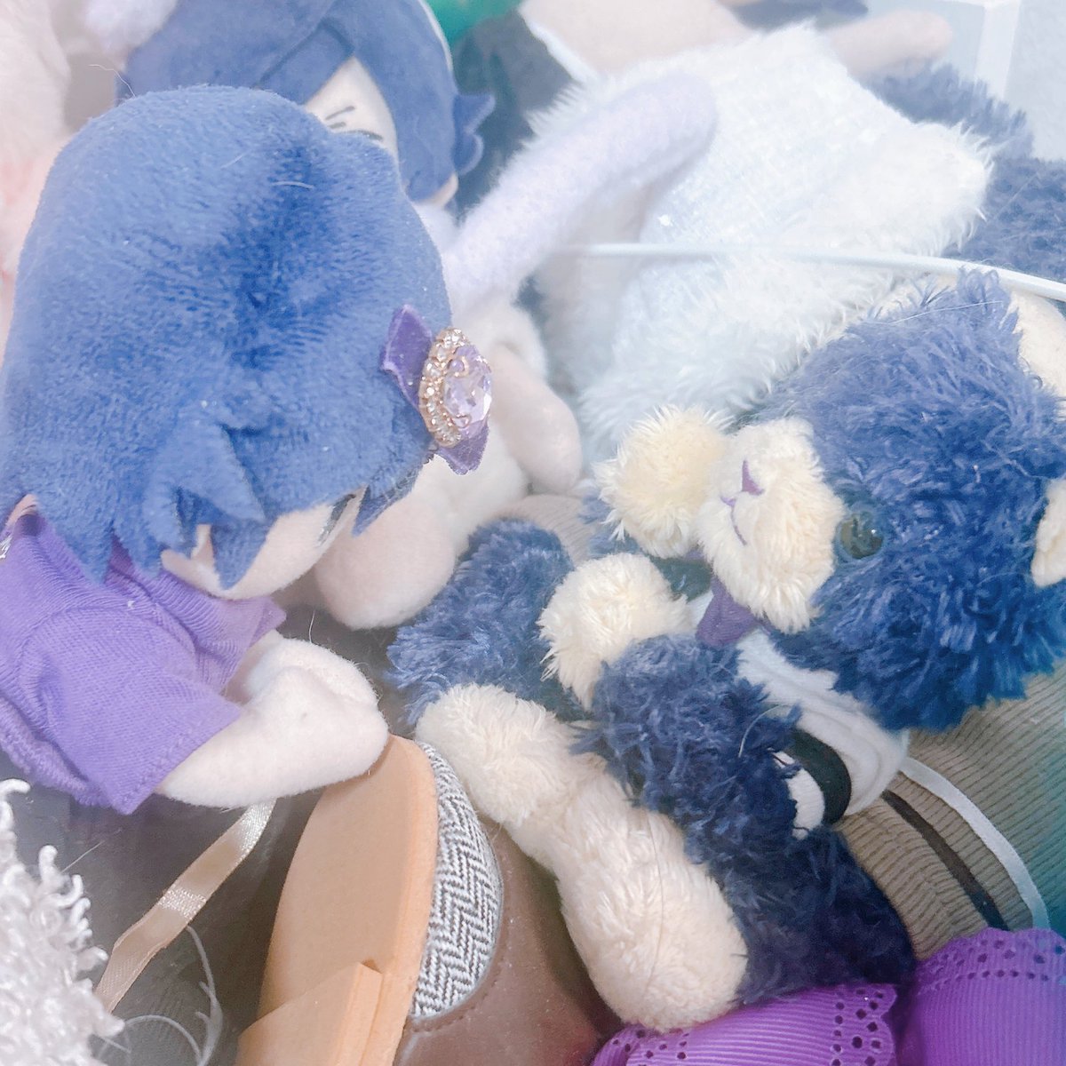 見てー!! ろりのせとﾐﾆﾘｽがお話してた🥺