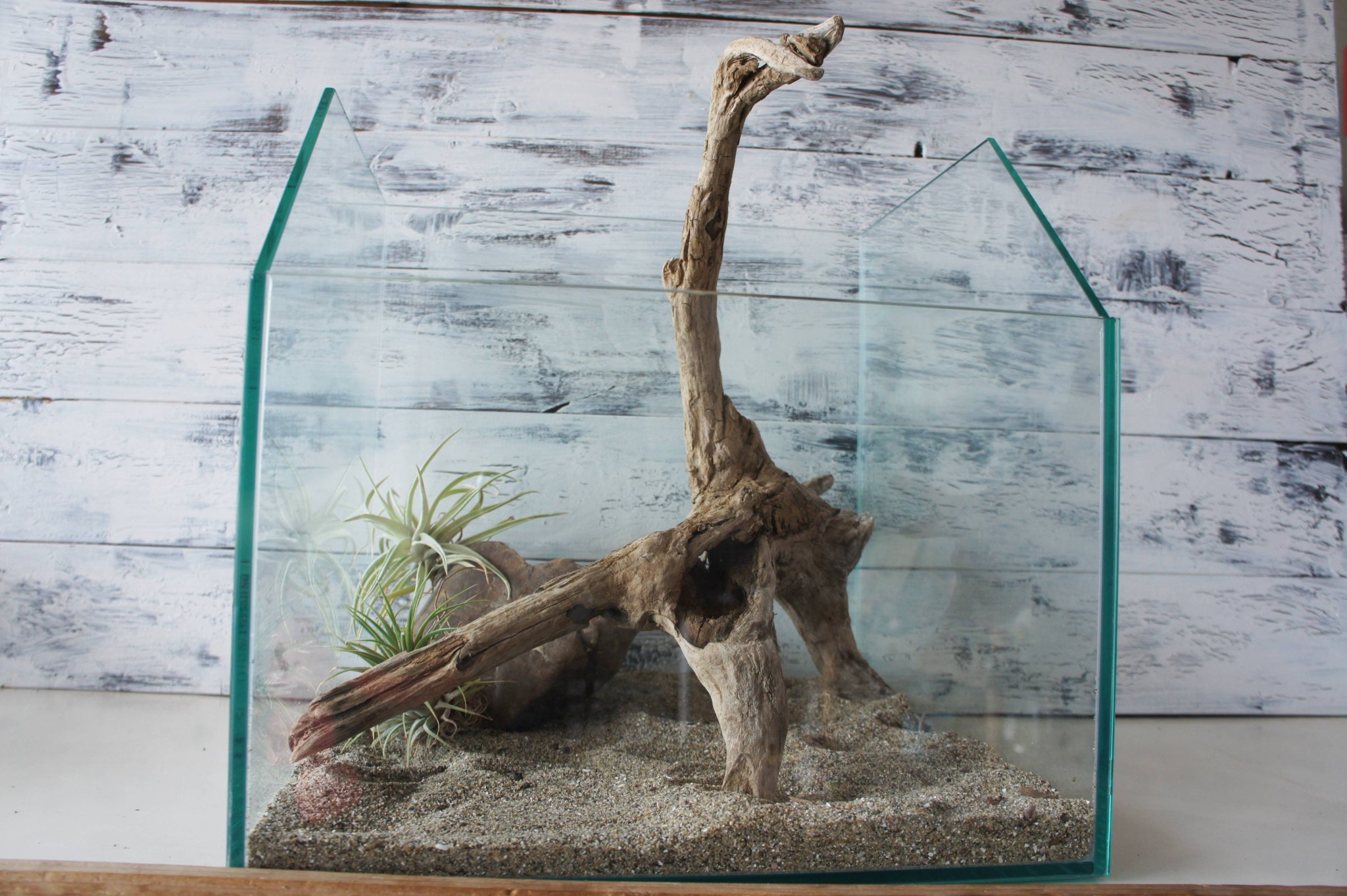 天然流木　アクアリウム　ADA インテリア　煮沸済み　【32】 天然流木アクアリウムADA インテリア煮沸済み【32】