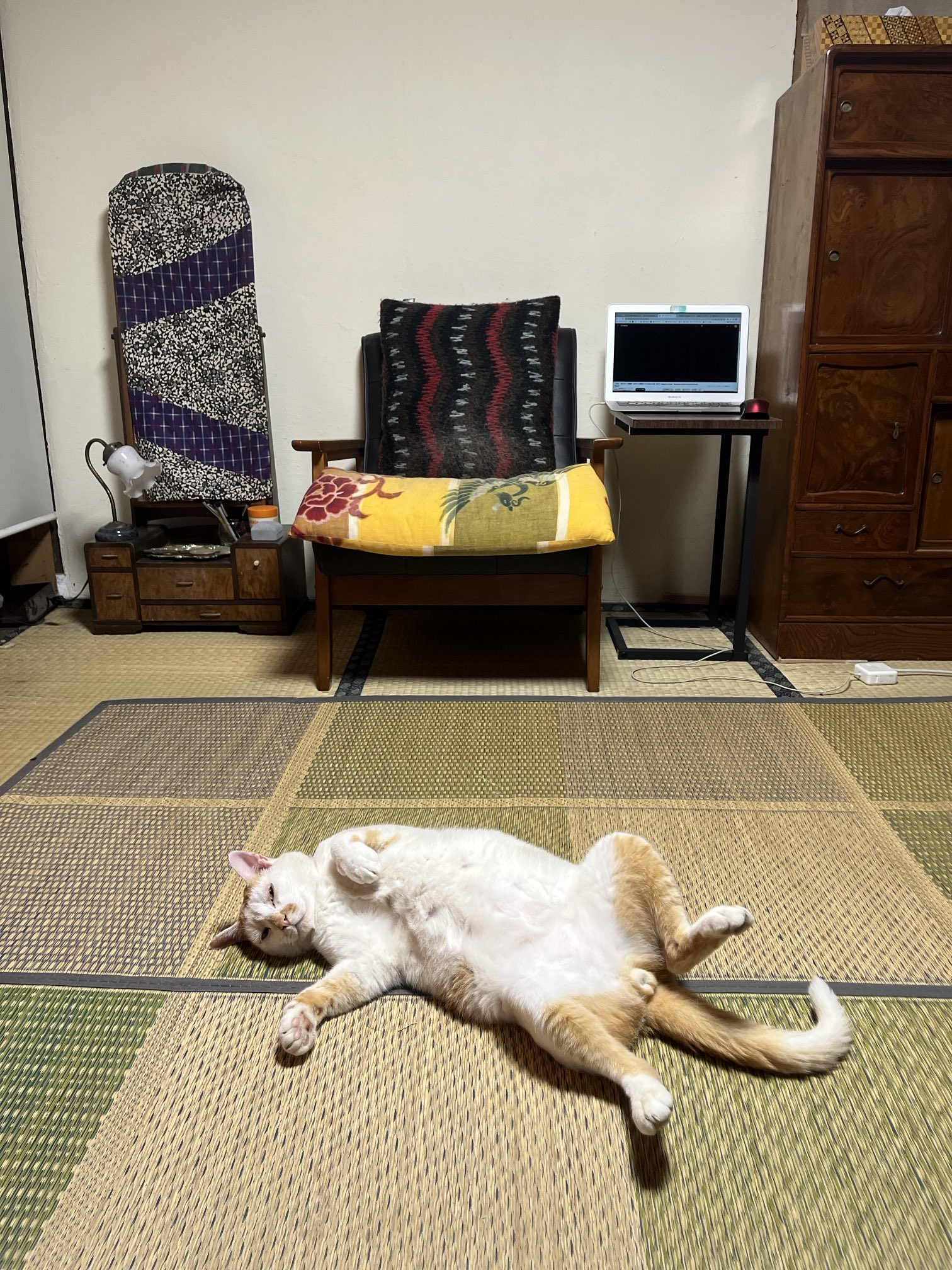 ストーム3266 (@e_3266) / X