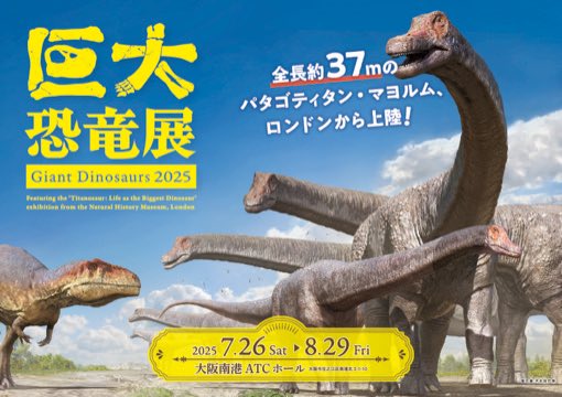 giantdinos_ex's tweet image. 【🦕大阪展情報🦖】
大阪展は会期中"毎日"展示エリア出口にて、先着100名様にB3ポスターをプレゼント🎁
皆様のご来場をお待ちしています☺️
#巨大恐竜展2025
#恐竜 #大阪南港ATCホール