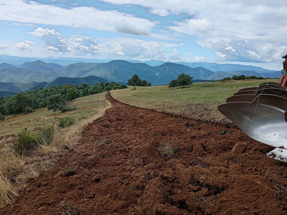 xaiecologic's tweet image. Obrint rasa, construint futur!
#Imparables
#CanyaATot
#SomPagesiaActiva
#SomLaResistència
#FeinaFeina🚜🚜🚜🚜
#CampanyaDeLaTerra2025