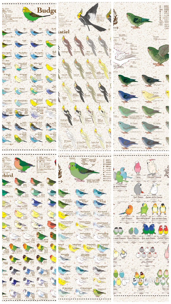 タペストリー参考画像です。
詳細はminneでご確認ください〜
（販売はこちらでも可能