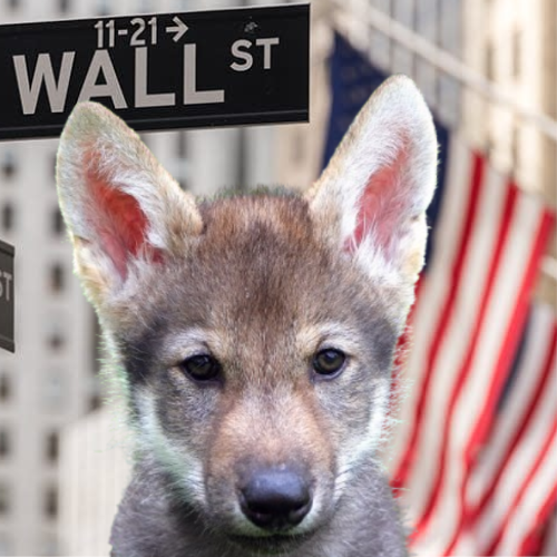 the real wolf of wall street

$WOWS

ca - U8VQ86kHJ1AeVWH11kKnKaUuu6eaNvy4UbDfpi6bonk