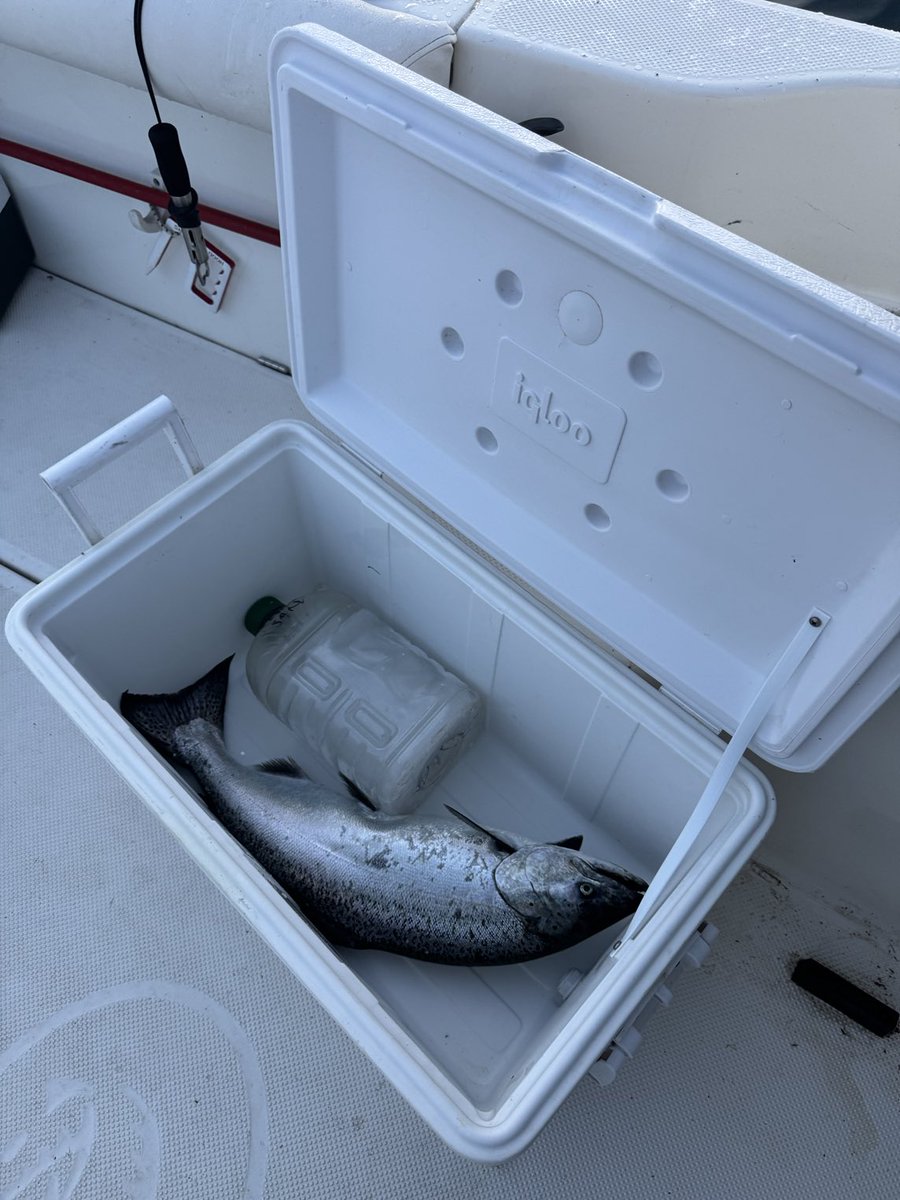 bakerjonathanr's tweet image. One in the box
