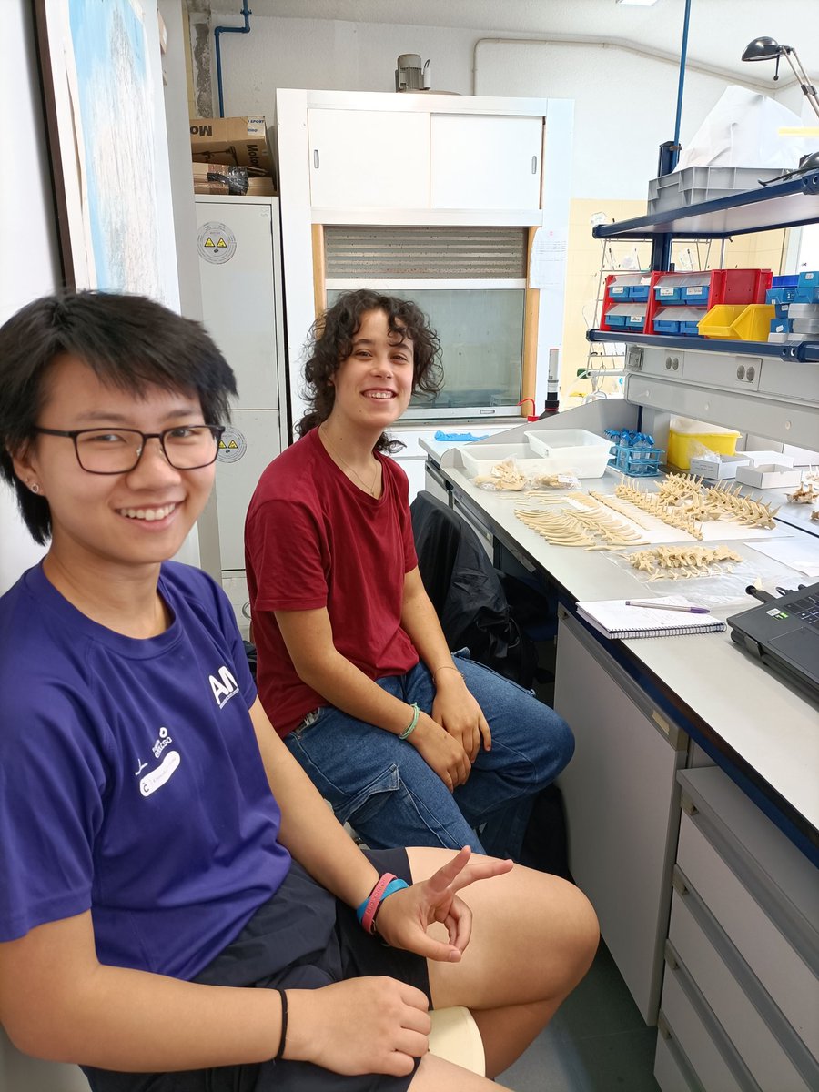 GRICA_UDC's tweet image. Estela y Linda han estado estas semanas en nuestro laboratorio colaborando en distintas tareas de investigación 👩🏻💻
Muchas gracias por echarnos un mano y esperamos que hayáis aprendido mucho!
#fossilfriday #paleontologia #repositoriodigital #PaleoGalicia #womeninSTEM