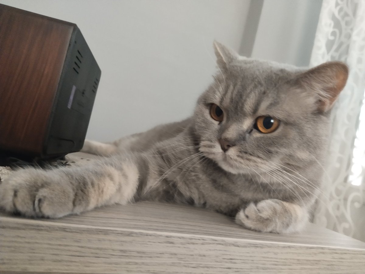 gozlerini temizledigim icin agzima sicmasindan iki dk once