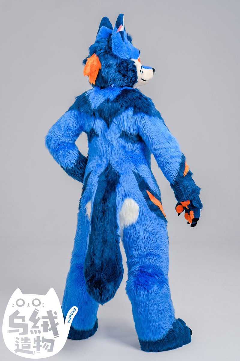 Adoption Commission Display, Blue Fox

#wurongfur #FursuitFriday #fursuit  #fox