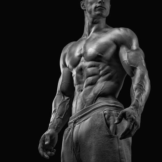 LAMuscle's tweet photo. 4 Ways To Get Your Lower Abs To Show
Get A Shredded Six Pack In No Time!
https://t.co/wVhvLK8sSl
#lamuscle #fitness #circuittraining #hiit #cardio #musclegrowth #weights #training #workout #muscle #lean #fit #gym #exercise #core #abs #sixpack #coreconditioning https://t.co/oWozRLNW3d