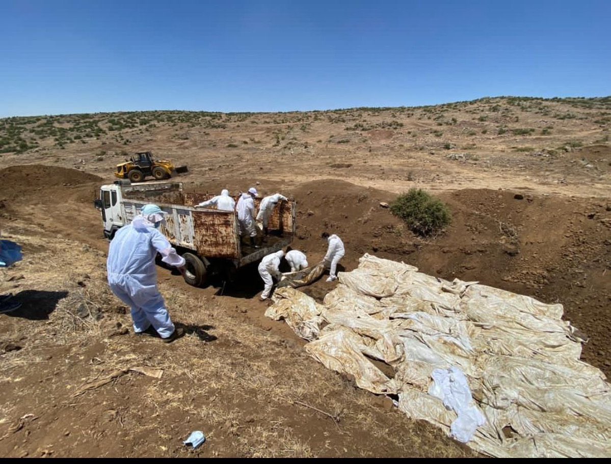 جريمة الدفن الجماعي لضحايا الحرب بدون علم ذويهم، تُعد من الجرائم الجسيمة في القانون الدولي الإنساني، وتندرج تحت مسمى جرائم الحرب وذلك حسب طبيعة السياق والنية والظروف المحيطة بها.

وفقاً لاتفاقيات جنيف (خاصة الاتفاقية الرابعة والبروتوكول الإضافي الأول)

على المحامين السوريين