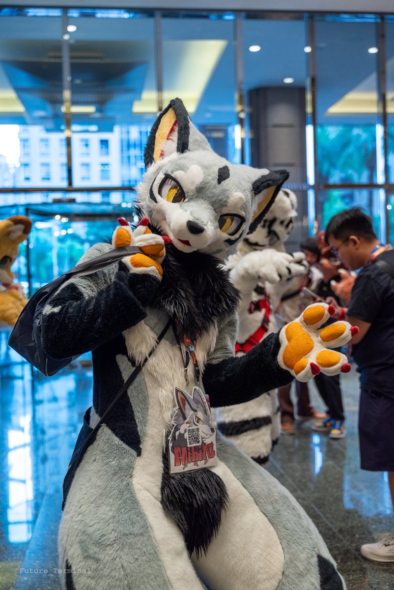 Future_Terminal's tweet image. ✨

🐺：@run_charizard