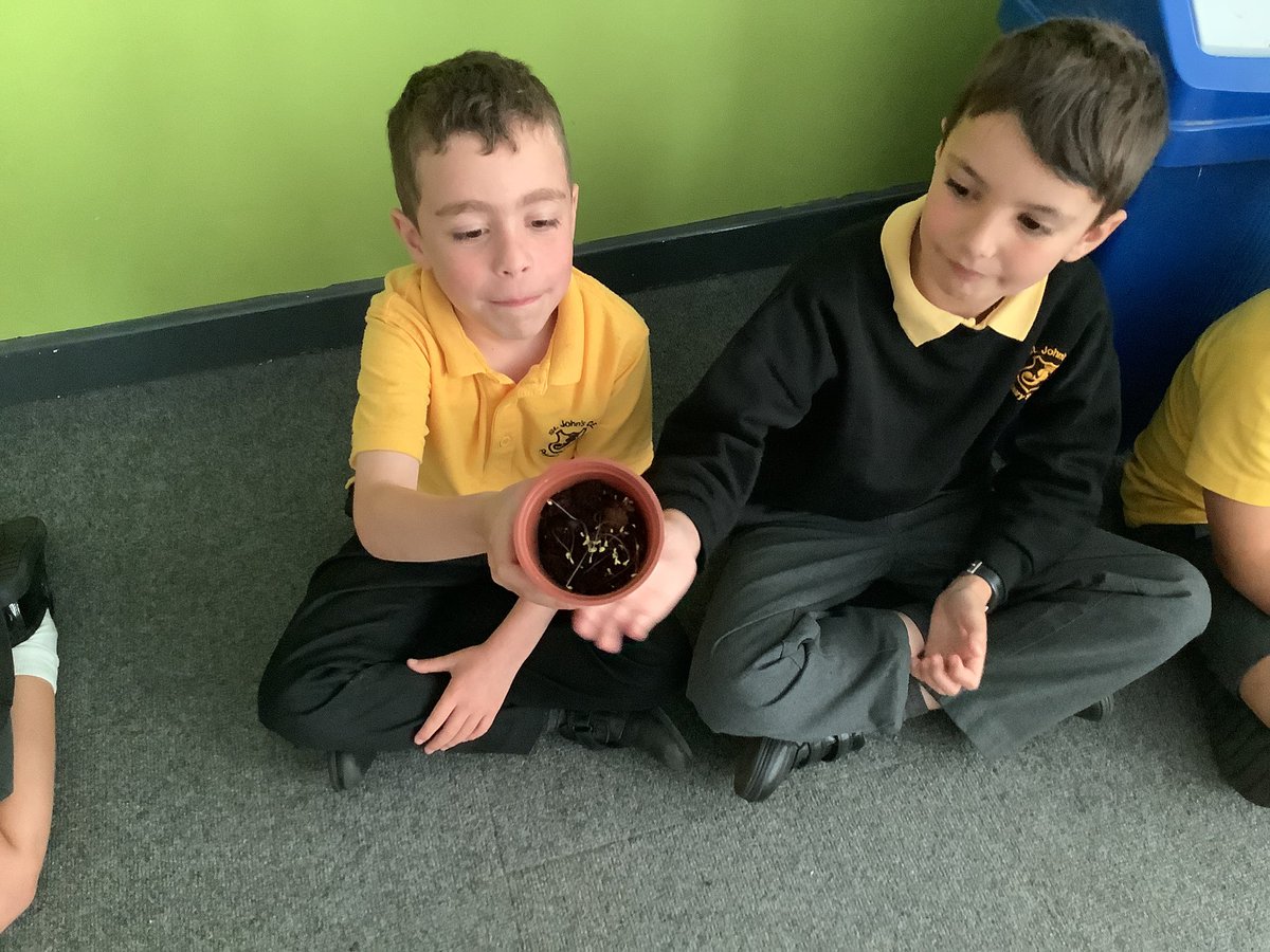 yr2stjohns tweet media