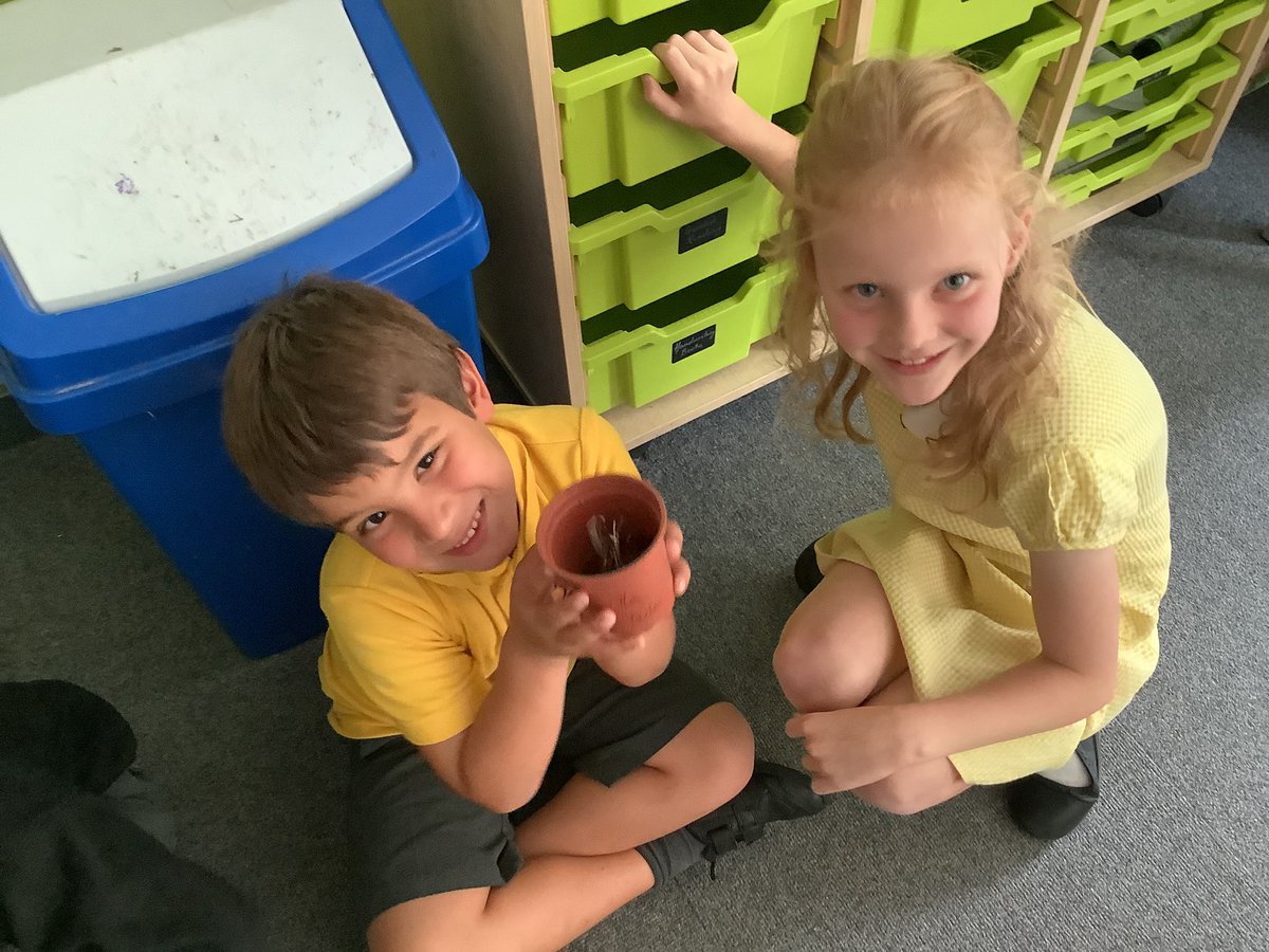 yr2stjohns tweet media