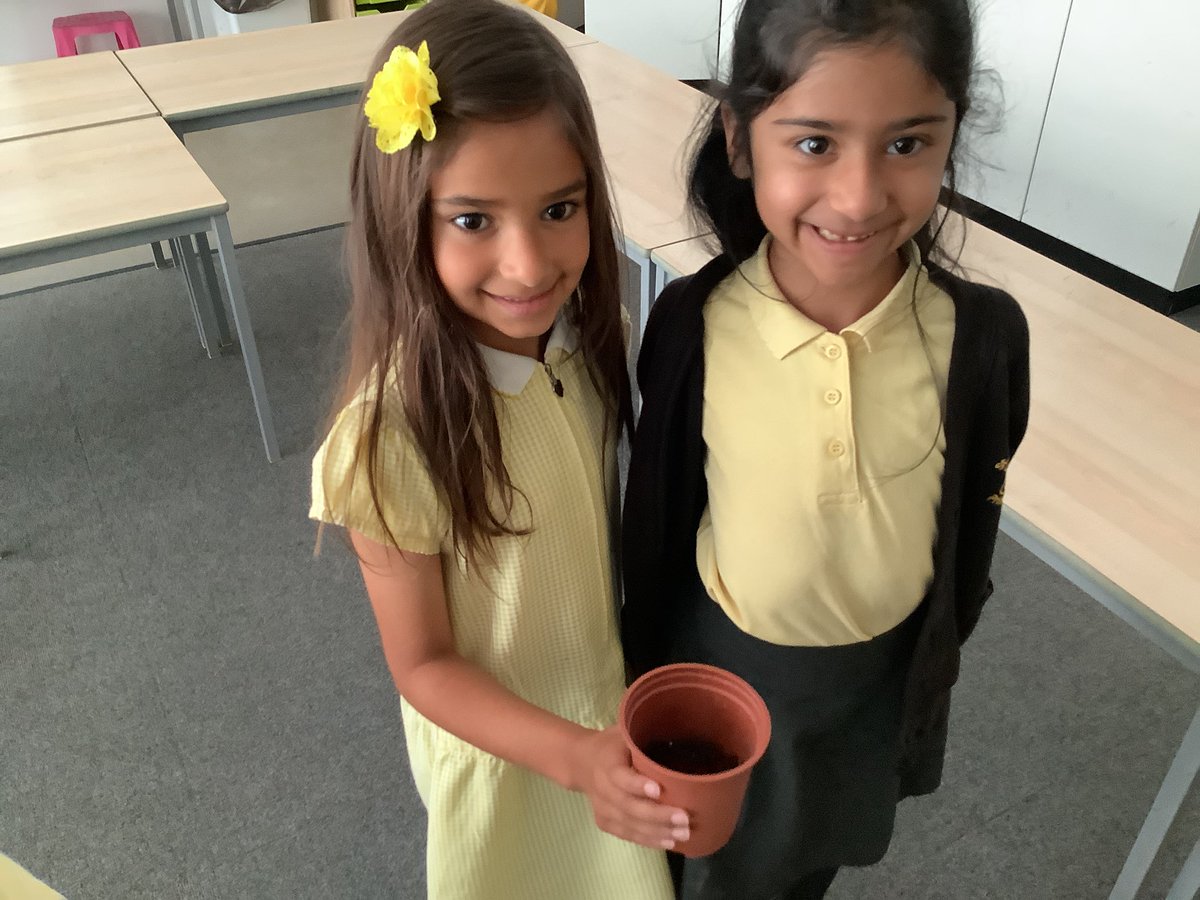 yr2stjohns tweet media