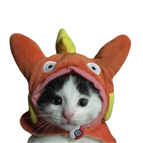 $Magikat 

Use Pur!

CA - Frd1bFidS9P9efsJmzSy3wzjQ8LzZyMnK6UNGMRfbonk