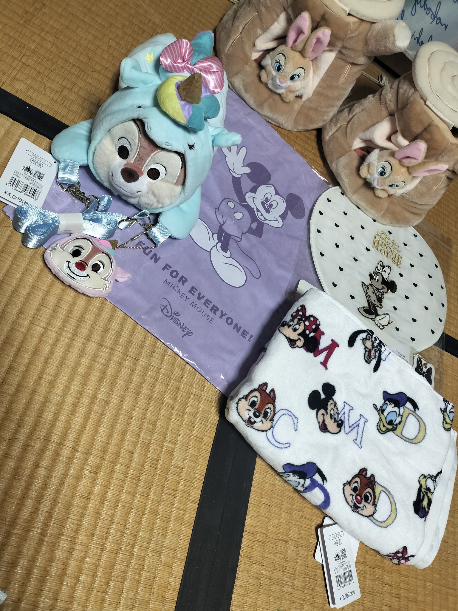ディズニーストア 夏祭りくじ 10点セット ラプンツェル イーヨー