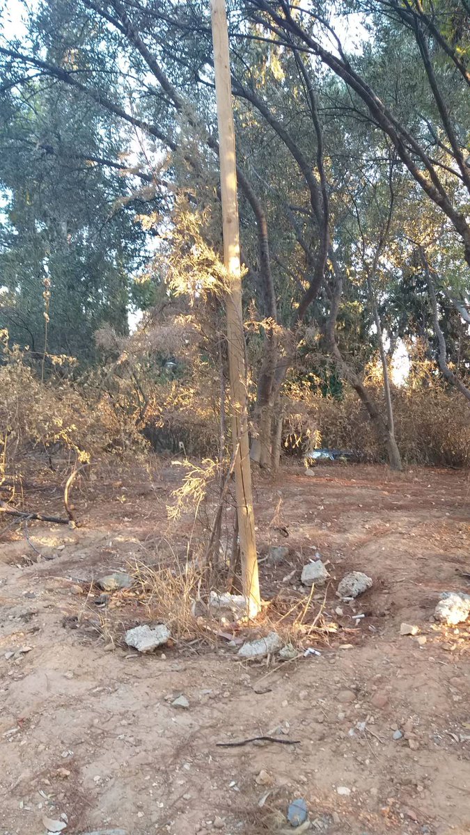 LofosStrefi's tweet image. Ανοιχτή Συνέλευση για την Υπεράσπιση του Λόφου Στρέφη
Σάββατο 26.7, 20:00, θεατράκι
Για έναν απολογισμό της τρίμηνης καταστροφικής παρουσίας των μπάτσων στην κοινωνική ζωή του Λόφου, στα φυτά του και στις υποδομές του και για την οργάνωση εκ νέου της υπεράσπισής του
#antireport