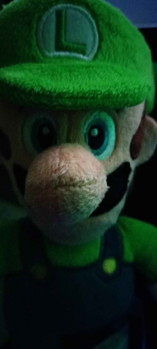 Triki_Tr0y's tweet image. luigi

luigi new home...
