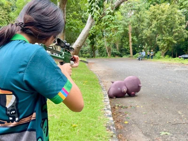 scoutingcapie's tweet image. When you miss the streaks on Blockscout