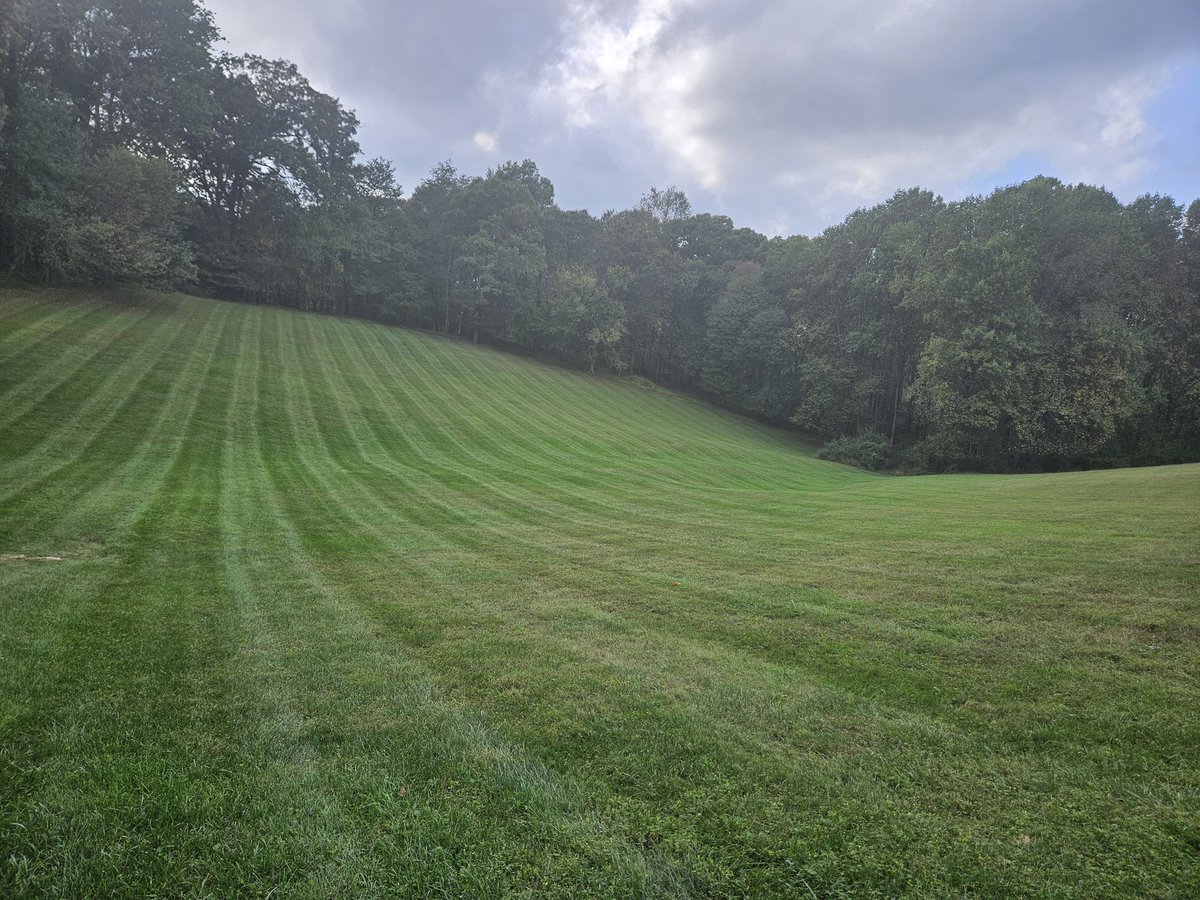 Buen día gente linda 🙏☘️🌳🌲😘
#FelizViernes