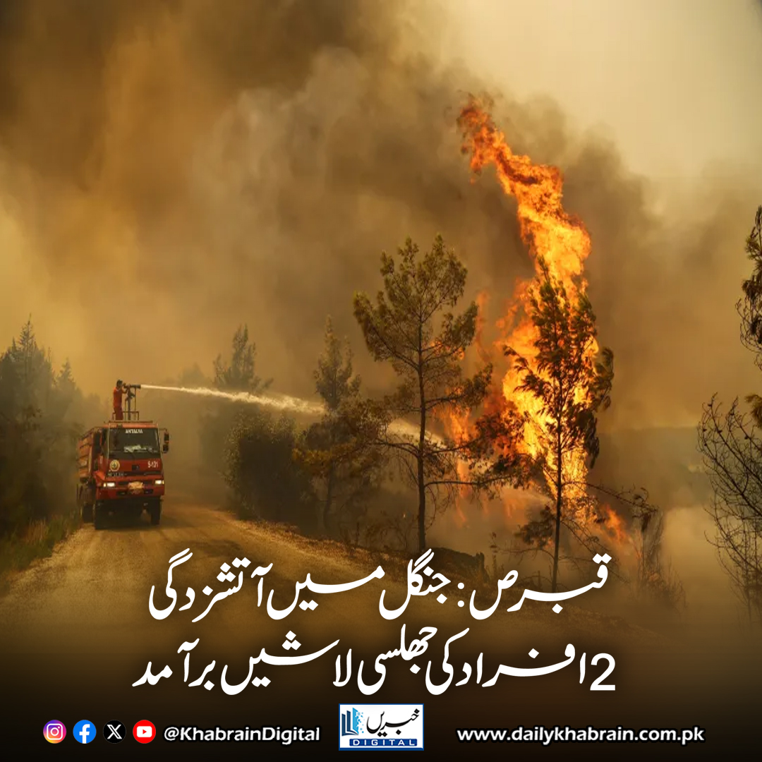 daily_khabrain's tweet photo. قبرص: جنگل میں آتشزدگی، 2 افراد کی جھلسی لاشیں برآمد

https://t.co/JkCsqbpmhn

Tap on the link to read full story 👆

#khabraindigitaltal
#CyprusWildfire #ForestFire #MediterraneanFires #WildfireTragedy #ClimateCrisis #MaliaVillage #DisasterResponse #FireEmergency https://t.co/kaQirDW9Oj