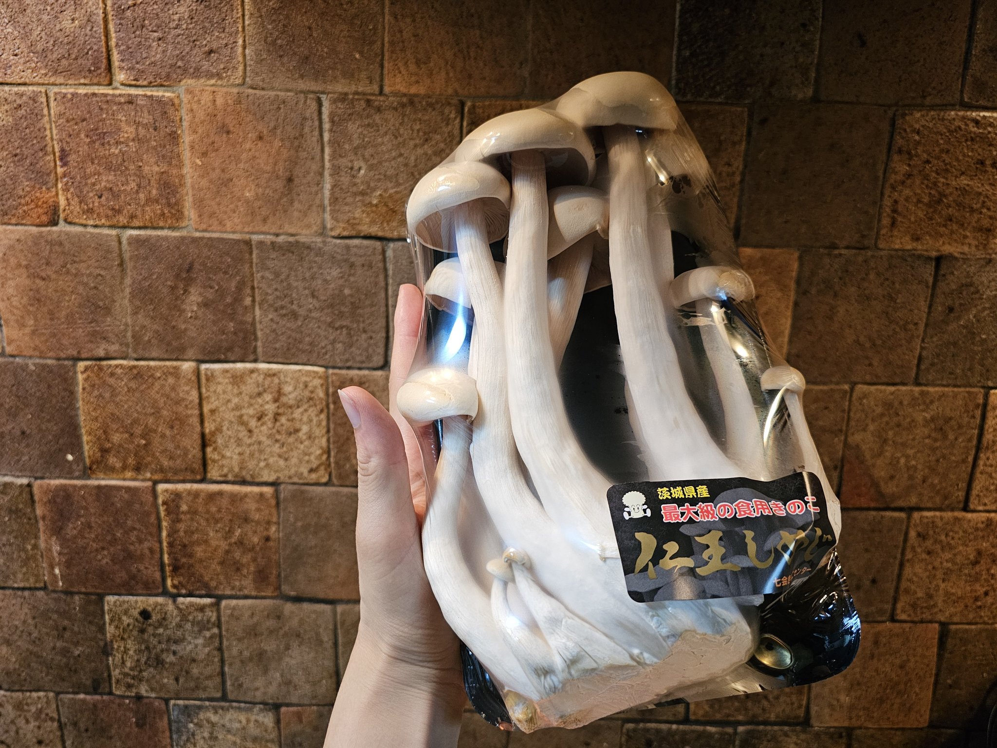 きのこ様 しめじボックス】 宮澤きのこ園の完熟ぶなしめじ6株 | きのこ
