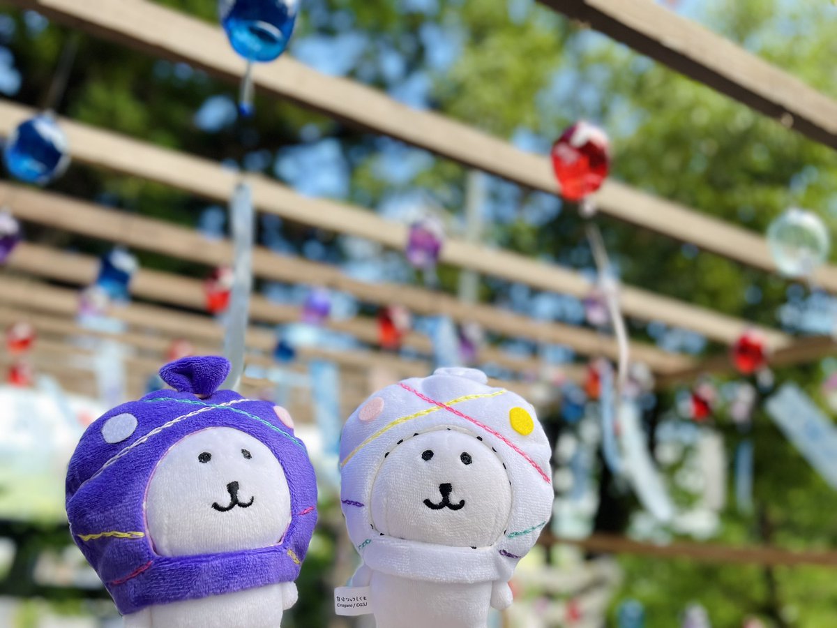 myarchill's tweet image. 届いたばかりのヨーヨーかぶって、風鈴いっぱいの神社におまいりしたよ🎐⛩
@amico_wakappa