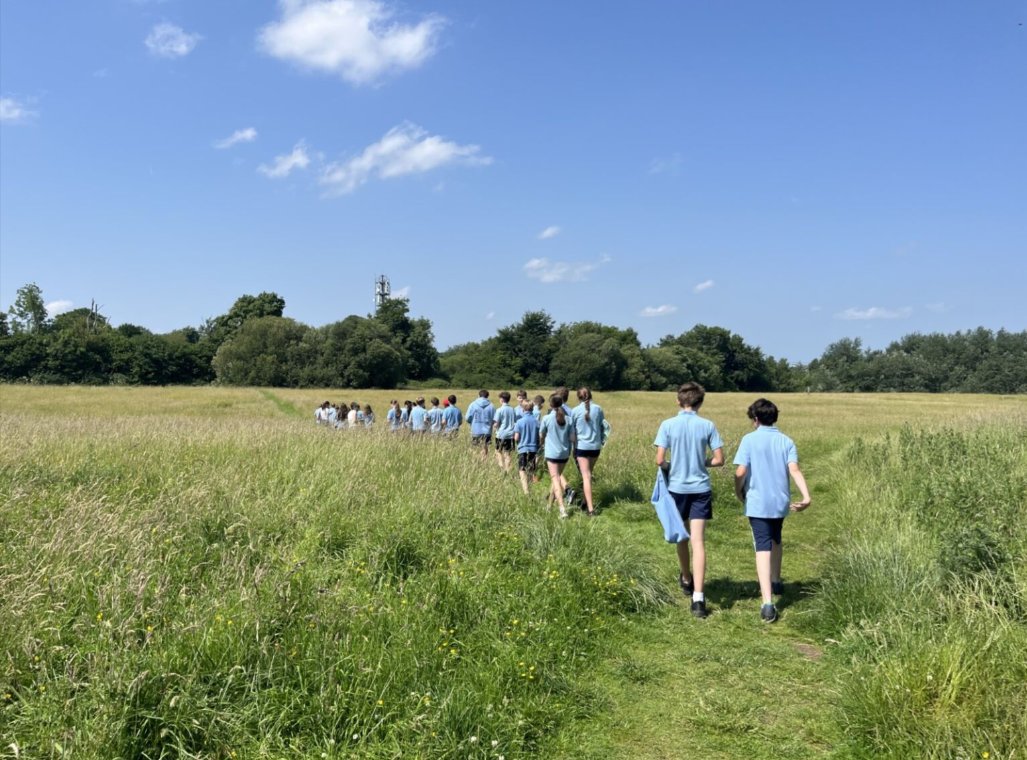 Cook Medical Limerick tweet media