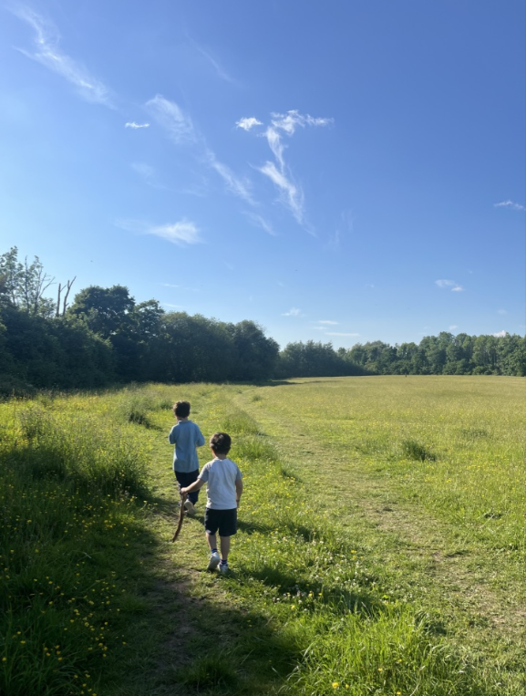 Cook Medical Limerick tweet media