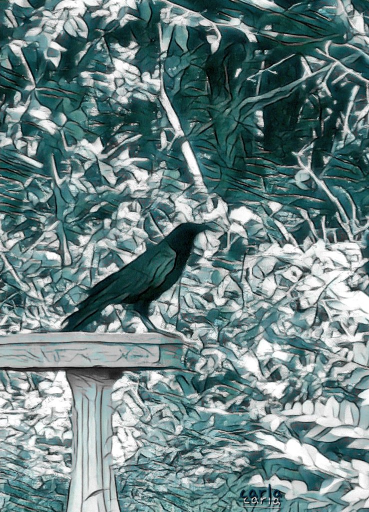 camera_bird's tweet image. Good day to you....