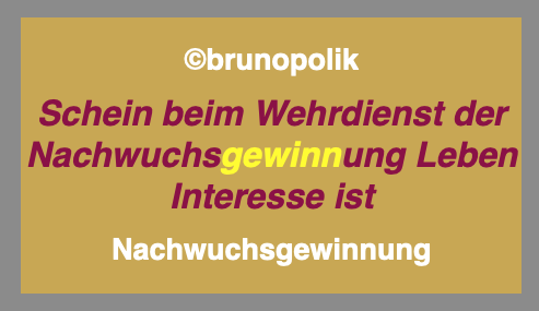 Nachwuchsgewinnung - Boris Pistorius SPD <a href="/PistoriusBoris/">Boris Pistorius 𝓹𝓪𝓻𝓸𝓭𝔂</a> in #Deutschem #Bundestag als #Haiku #Poetry #Politik #Kunst #Art #WebART für #Frieden #Zeitenwende #Freiheit als #Dada #Satire vom #DadaNerd wp.me/p73wti-1pguG