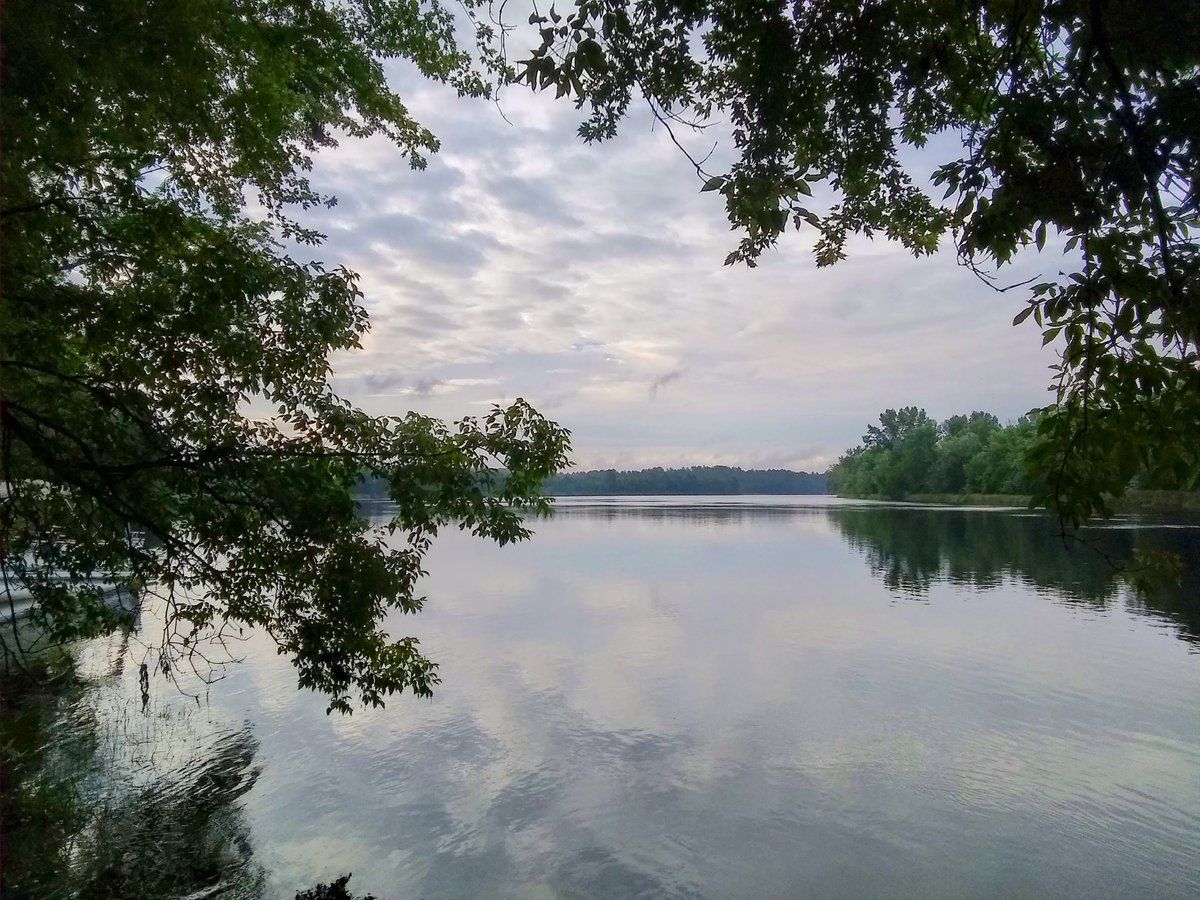 jacquesbegood's tweet image. 25juillet2025. C'est déjà un beau 20°C sous un ciel tout gris à Maniwaki.