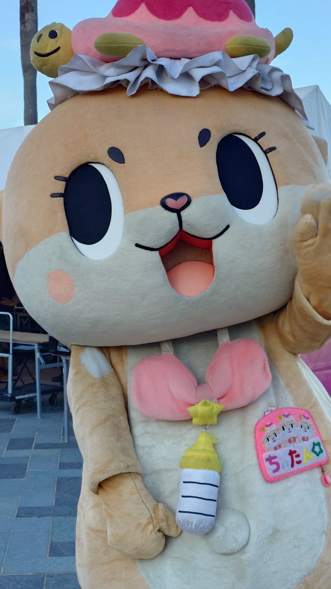 ちーたん様  専用です のいず☆次はわかりません (@TokyoChiitan) / X