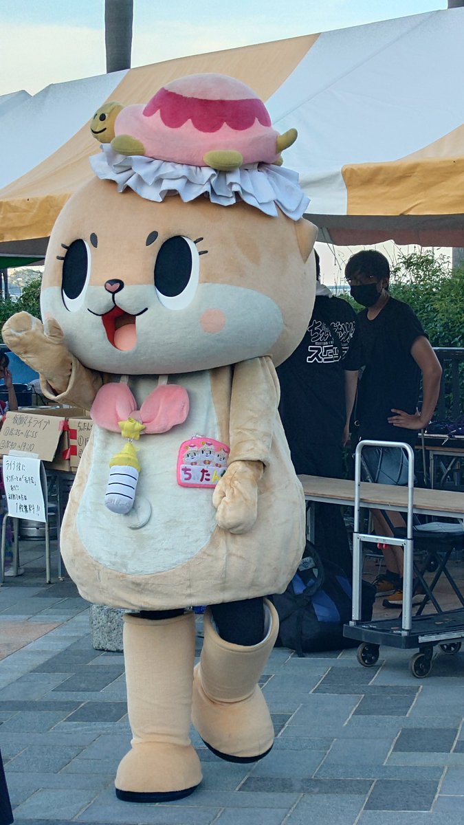 ちーたん様  専用です のいず☆次はわかりません (@TokyoChiitan) / X