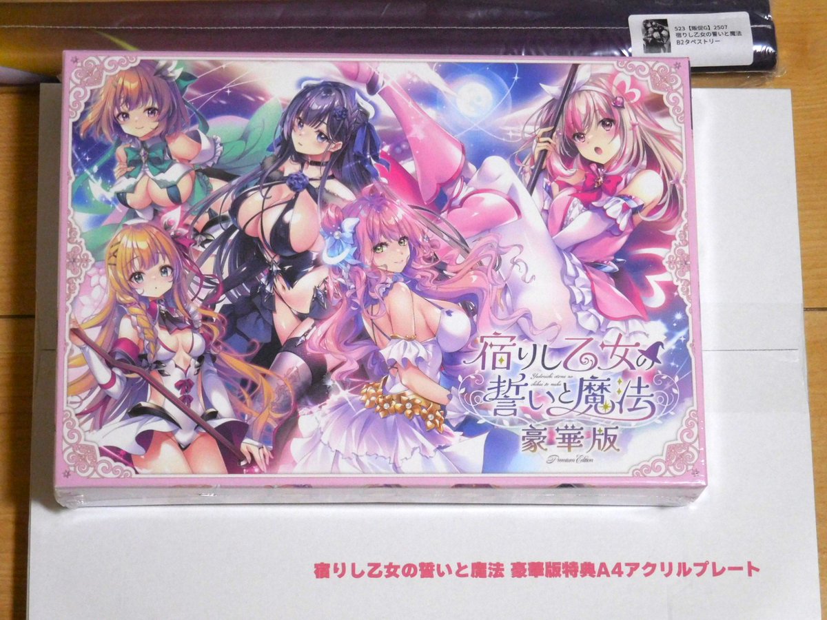 toric_aocsub's tweet image. 今月の新作その2
『宿りし乙女の誓いと魔法』豪華版メロンブックス特典。
こちらも期待作。本編が気になります！
#乙誓