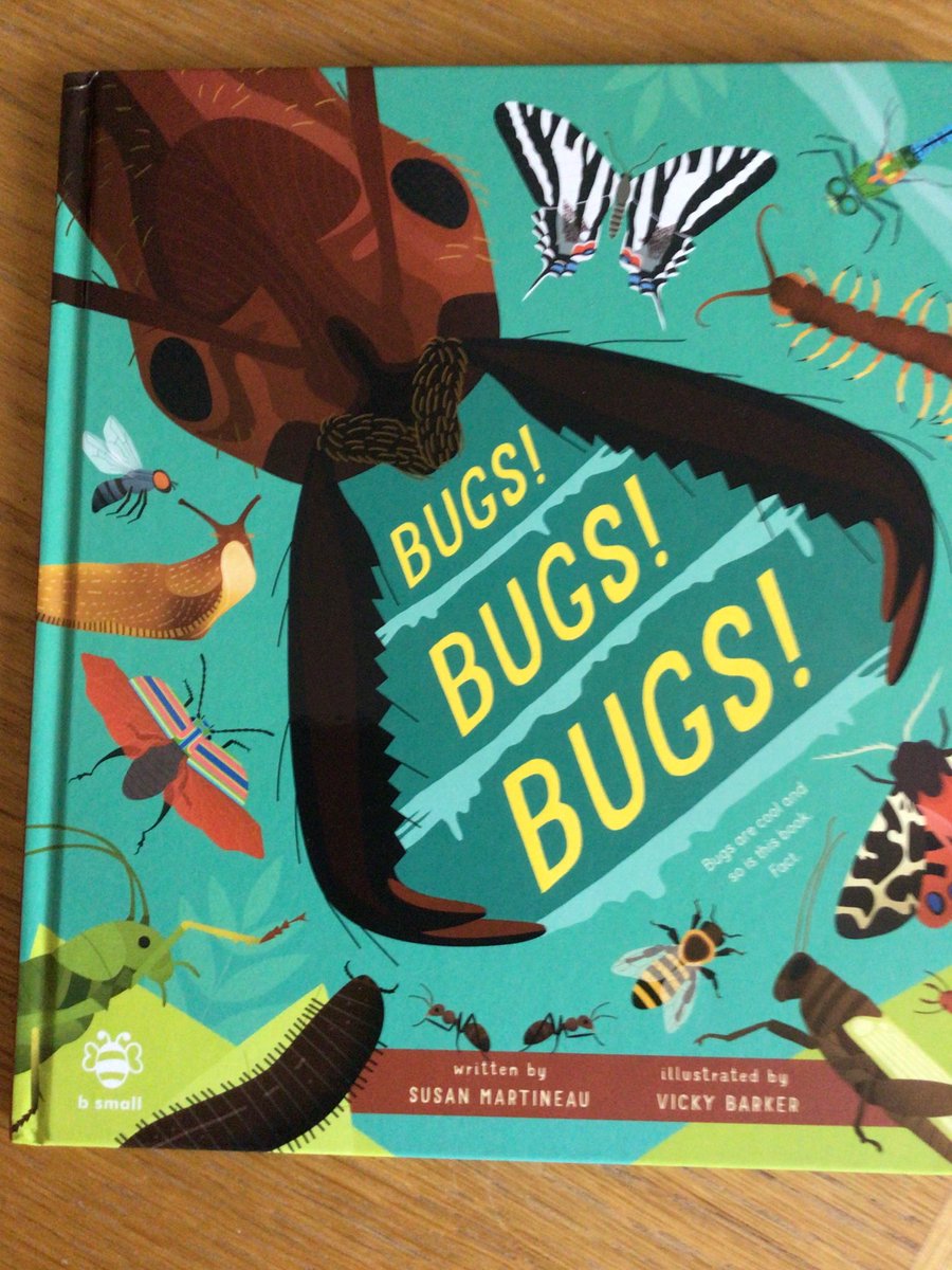 writeaboutbooks's tweet image. Third title in the #NatureInvestigator series #BugsBugsBugs by Susan Martineau & @VBdoodles @bsmallpub is a fascinating, beautifully presented exploration of mini beasts. The contents page & glossary, makes this equally good for
focused research or browsing - in school or at home