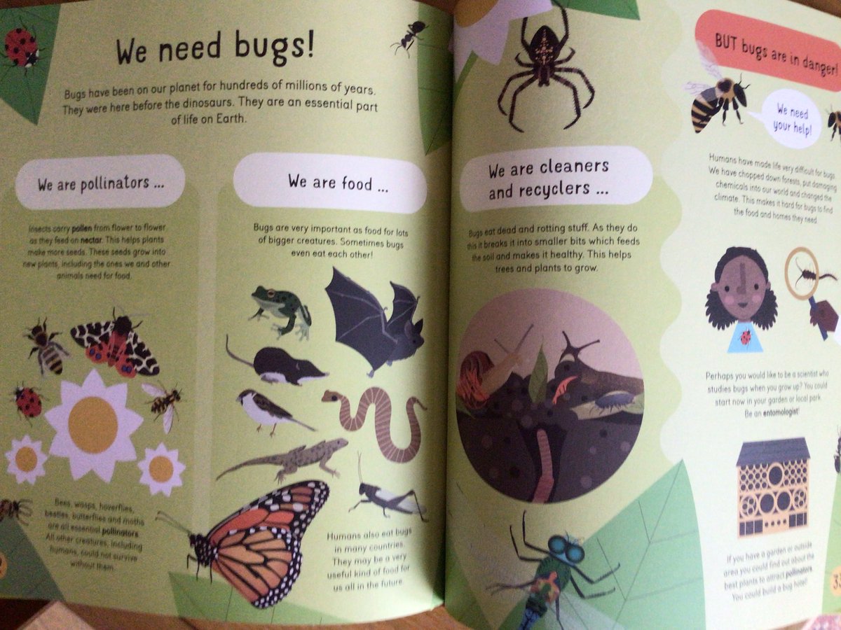 writeaboutbooks's tweet image. Third title in the #NatureInvestigator series #BugsBugsBugs by Susan Martineau & @VBdoodles @bsmallpub is a fascinating, beautifully presented exploration of mini beasts. The contents page & glossary, makes this equally good for
focused research or browsing - in school or at home