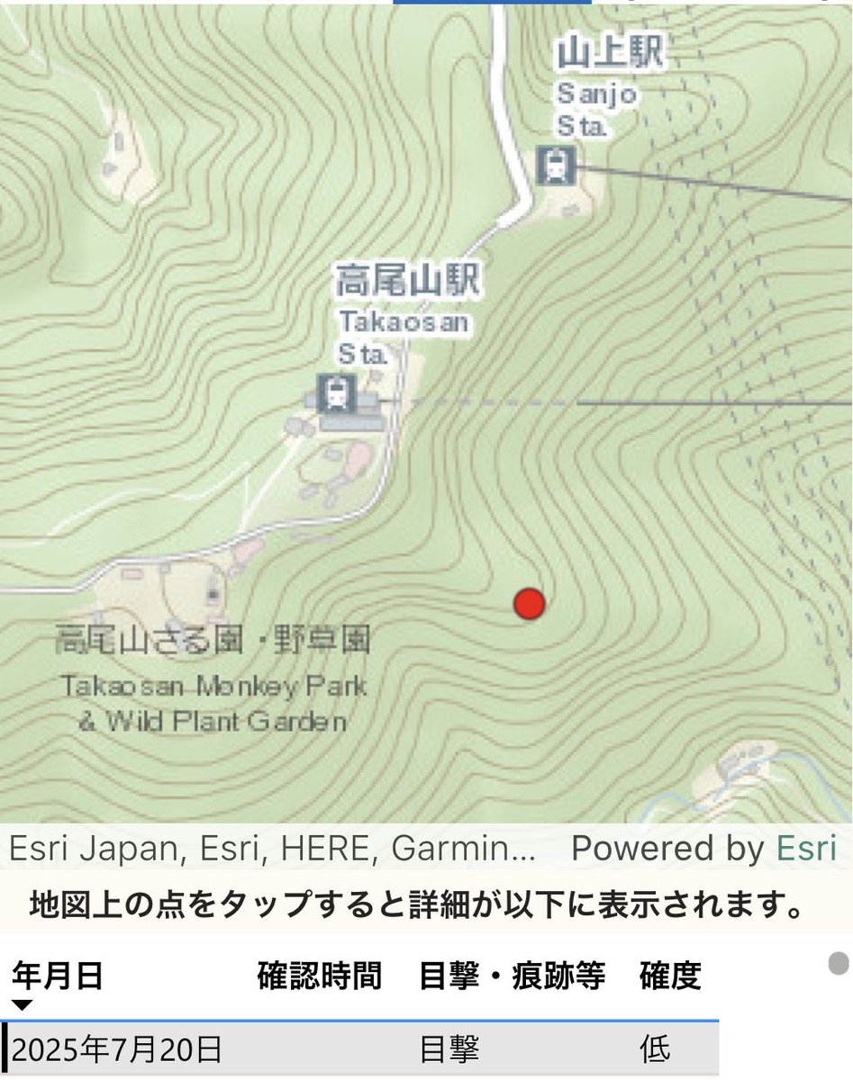 peach_mo's tweet image. ■東京都ツキノワグマ目撃等情報マップ ~TOKYOくまっぷ~より熊目撃情報
・7月20日 時間不明 八王子市高尾町(高尾山) 確度:低
app.powerbi.com/view?r=eyJrIjo…