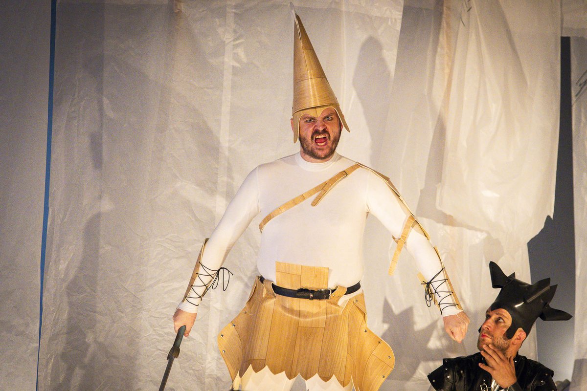 Czech Section of INSEA tweet media