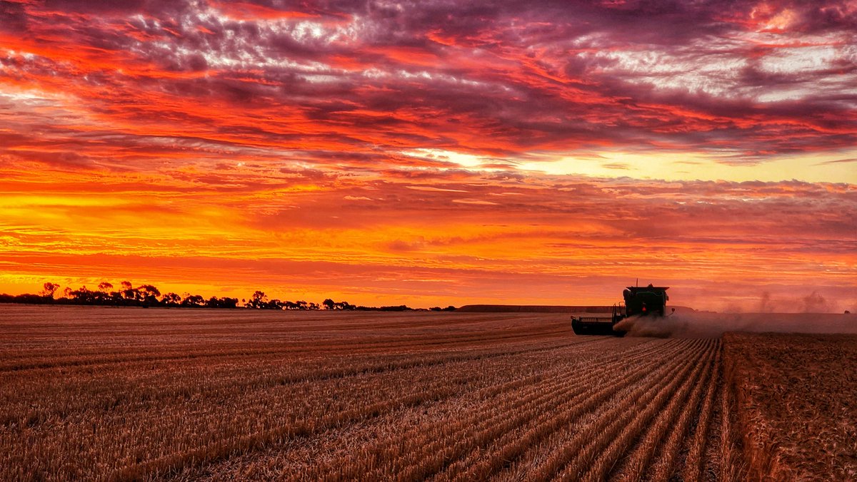 🌾 Join the GrainGrowers Community!🌾

✅ Become a member – If you actively farm over 20ha of grain, apply today. 

• Access to leadership programs
• Regular updates via e-news and GrainGrowers magazine

👉 Sign up today and be part of shaping the future of Australian grain:
