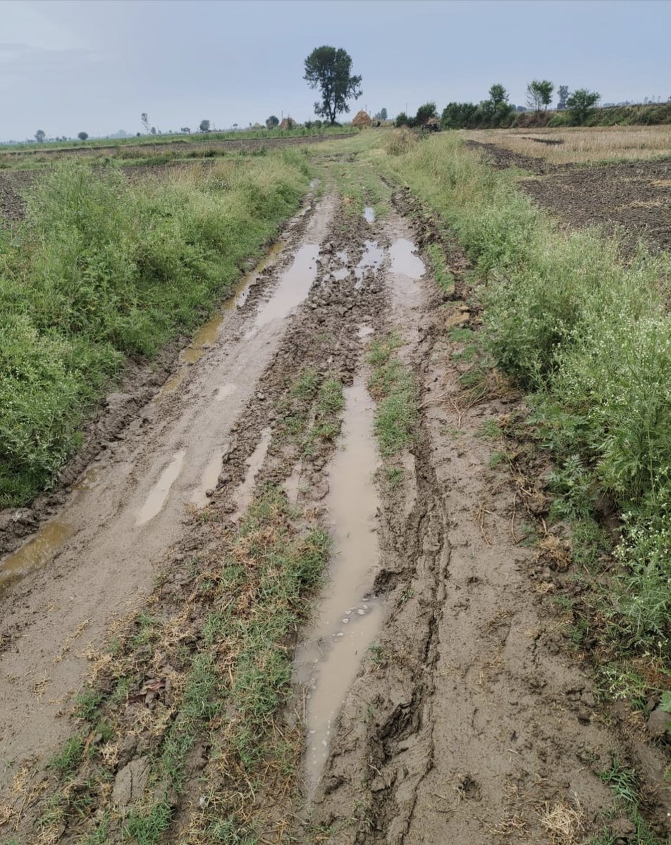 nirmalrani007's tweet image. I,Nirmal from Randoli(Karnal),request urgent help for a pucca road to farmland.
Access is only via Kamalpur Gadrian village — but there’s no proper road.
30+ farmer suffer every season
📎Full application in photo
📍maps.app.goo.gl/1HnjyJ6uasyMAU…
@cmohry  @DCKarnal @PMOIndia 
#CMWindow