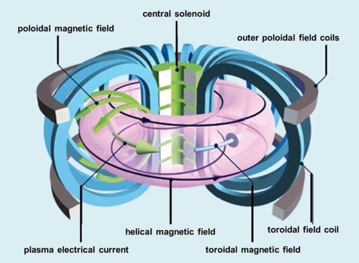 hooseeee's tweet photo. @SinatraSupp @worldranking_ The magnets are not in touch with the plasma nor with heavily heated components.
In this figure the plasma would be the pink torus. https://t.co/tXFcMKOUR8