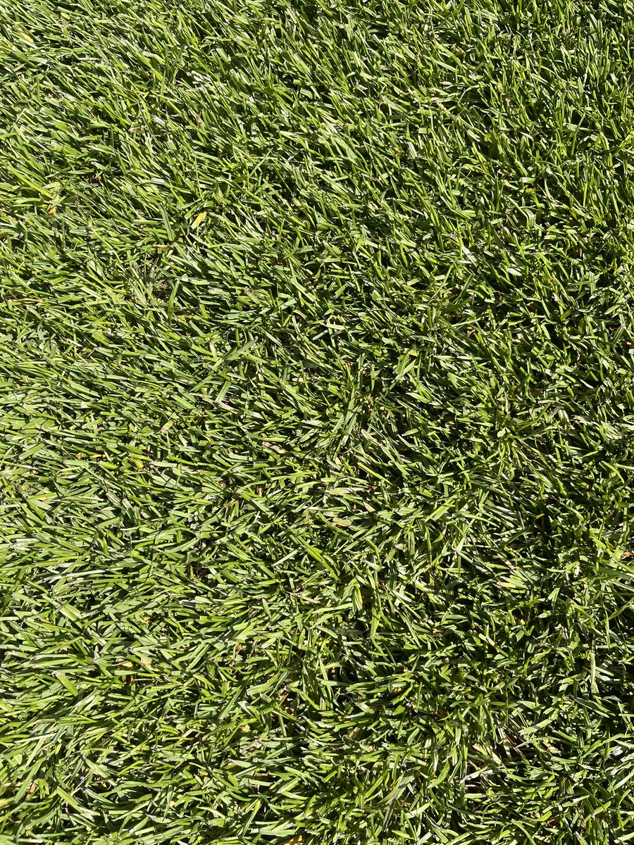 Not long now ⏰⚽️🏟️