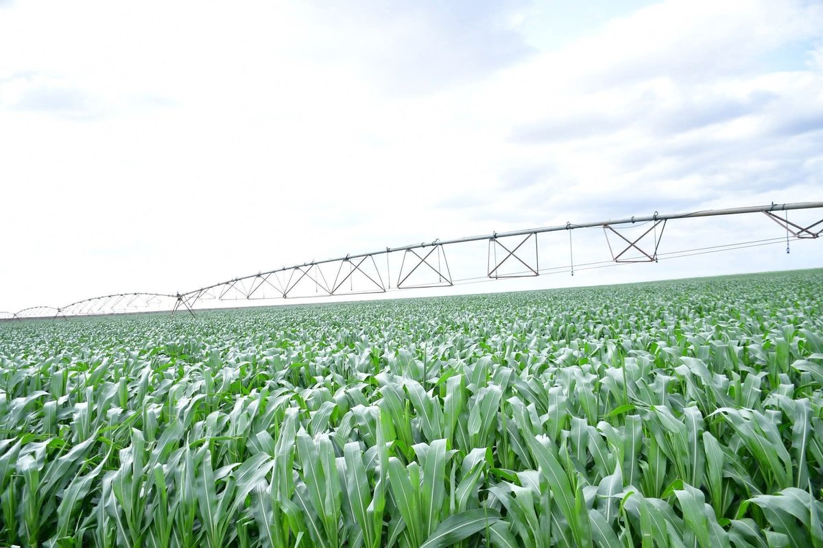 Belive_Kinuthia's tweet image. FINALLY!!!
This is the Galana-Kulalu Food Security Project that has finally taken off after so many failed starts.