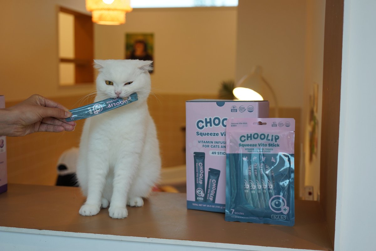 Eye on the prize 👁
(Even if they pretend not to care)
Our Eyes Formula supports vision health — with a taste cats secretly love.
#EyeHealth #CatTreats #ChoolipVitaStick