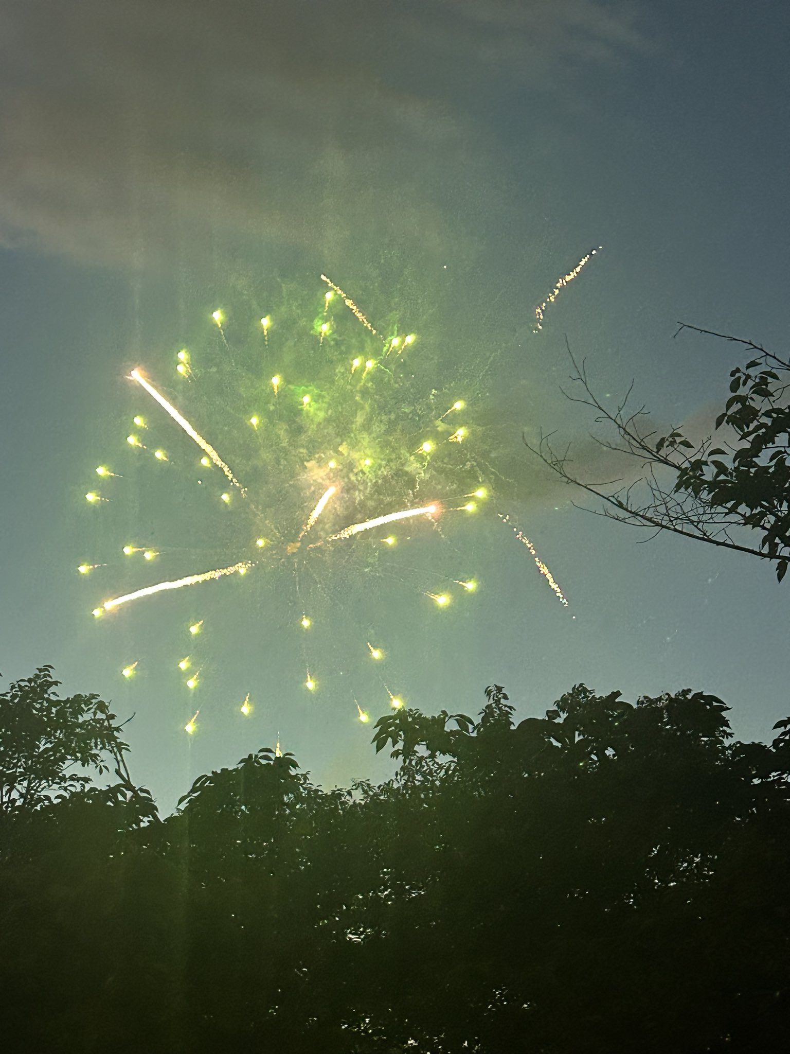 花火写真⑨ 今年も隅田川花火大会が最高でした🎇