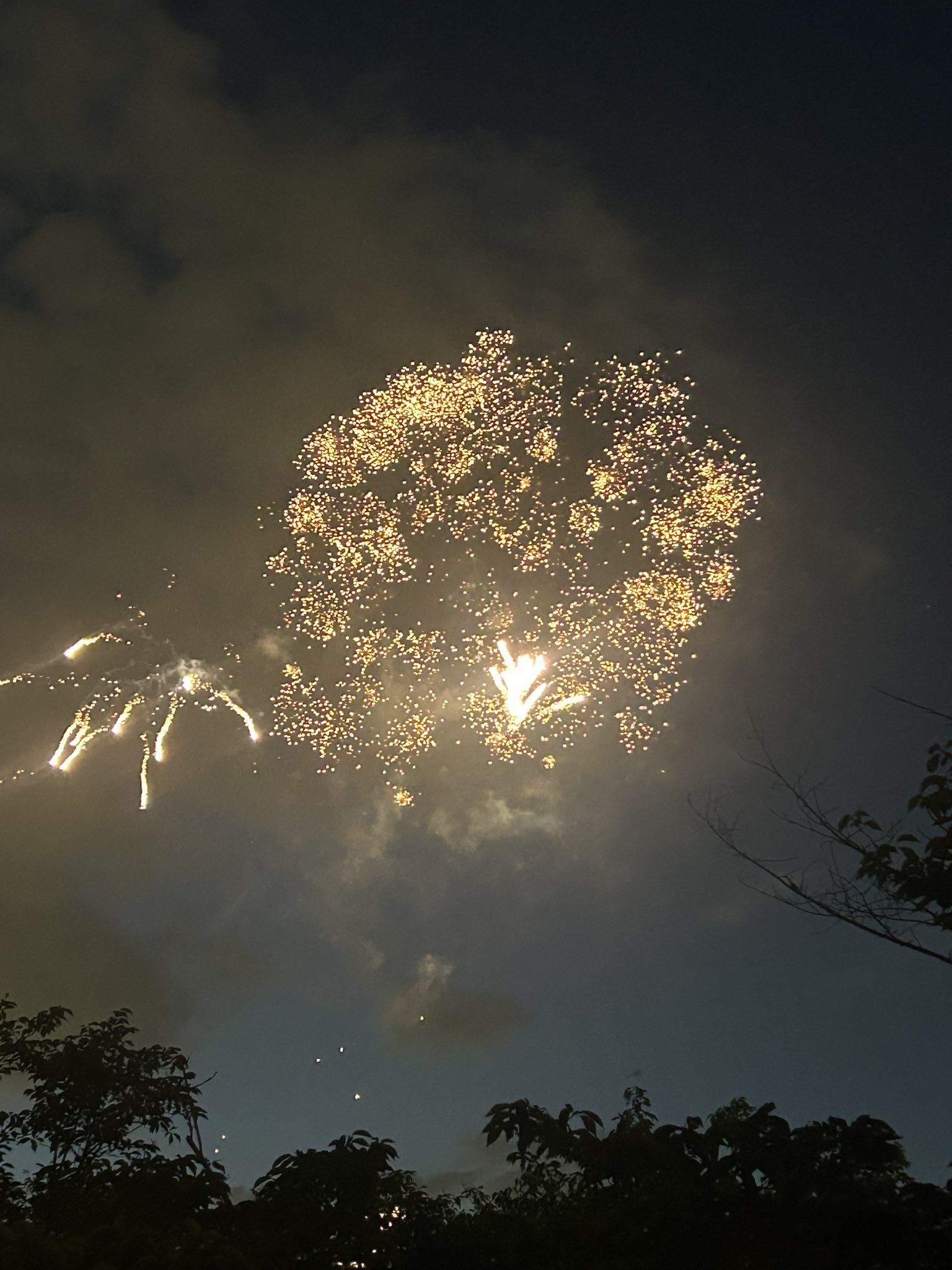 花火写真⑨ 正三尺玉 INPEX様 長岡花火 8月3日 . ——————————— 2024.8