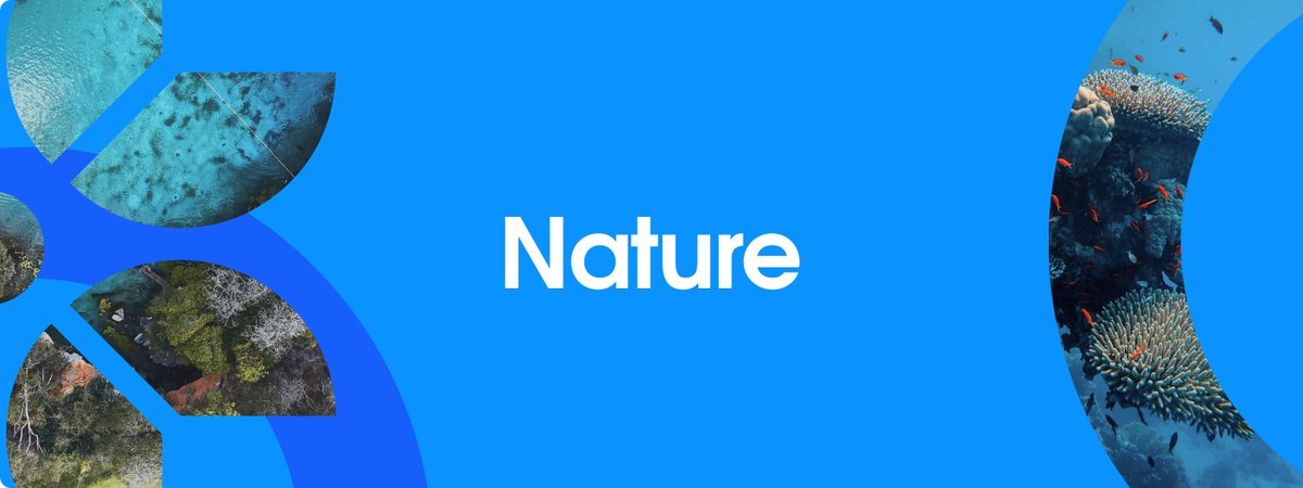 Giveth (@giveth) on Twitter photo 🌿 Giveth Weekly: Nature Recap
This week, we spotlighted 4 powerful projects regenerating the planet with onchain coordination and real-world action:
🌳 <a href="/tdfinyourdreams/">traditionaldreamfactory 🌱 $TDF 🐑</a>
🌻 <a href="/OurBloomNetwork/">Bloom Network</a>
🌴 <a href="/KokonutFDN/">Kokonut Foundation</a>
🦋 <a href="/VidaVerde_Vzla/">Vida Verde</a>
Support nature. Fund regeneration.
Explore them all: 🌿 Giveth Weekly: Nature Recap
This week, we spotlighted 4 powerful projects regenerating the planet with onchain coordination and real-world action:
🌳 <a href="/tdfinyourdreams/">traditionaldreamfactory 🌱 $TDF 🐑</a>
🌻 <a href="/OurBloomNetwork/">Bloom Network</a>
🌴 <a href="/KokonutFDN/">Kokonut Foundation</a>
🦋 <a href="/VidaVerde_Vzla/">Vida Verde</a>
Support nature. Fund regeneration.
Explore them all: