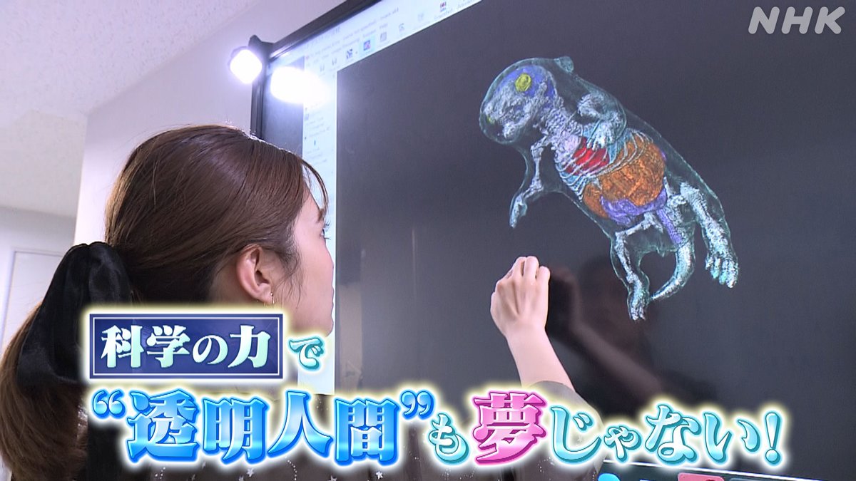 nhk_sciencezero's tweet image. 📺再放送は あす 午前11時〜[Eテレ]
#サイエンスZERO
◤科学の力で“透明人間”も夢じゃない！◢

光工学、医学、細胞生物学…

さまざまな分野で“透明化”の研究に本気で取り組む科学者と
驚きの技術に迫ります！

／
見逃し配信は
27(日) 夜11:59 まで
＼
nhk.jp/p/zero/ts/XK5V…